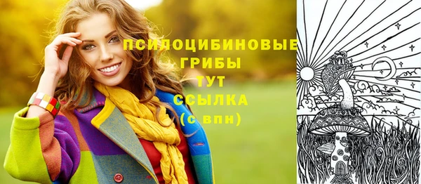 синтетический гашиш Карпинск