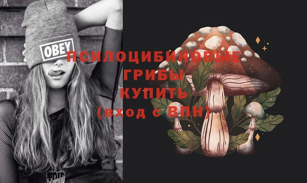 ECSTASY Карталы