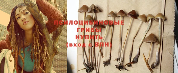 jwh Касимов