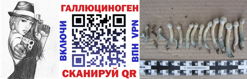 Псилоцибиновые грибы прущие грибы  Купить где  Выборг 