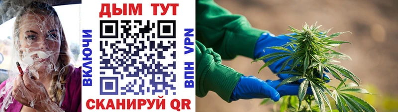 Бошки марихуана тримм  Купить где  Выборг 